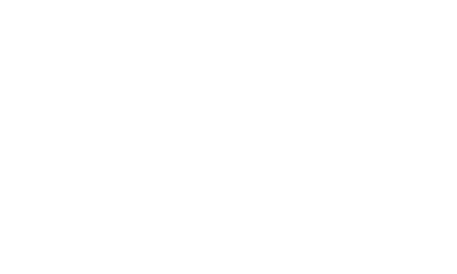 Smart Carrier Logo White